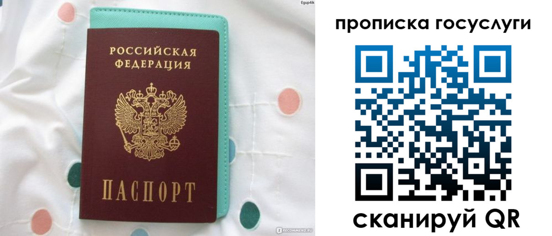 прописка поиск в Балашихе